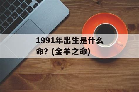 1991年什么命|1991年出生是什么命